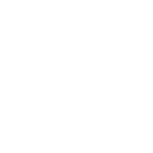 Raybods Logo